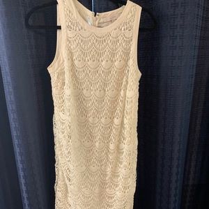Loft cream lace dress